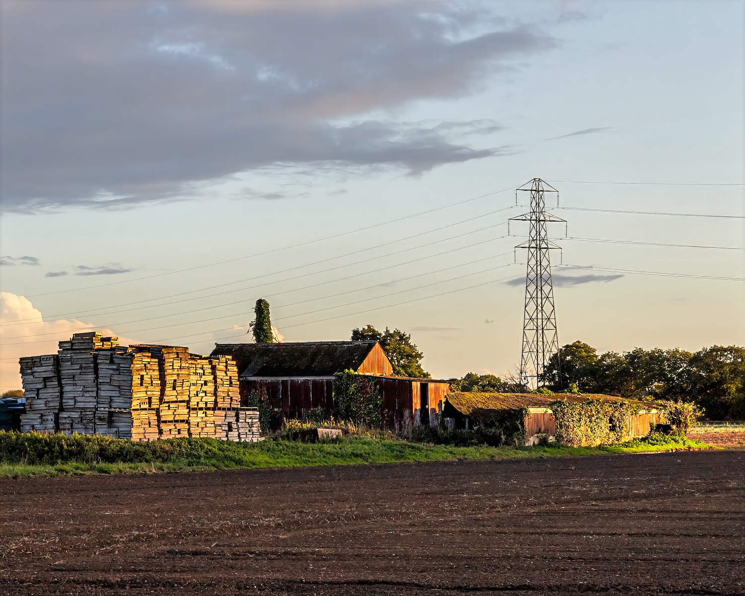 The Old Barn - Pat Ainger